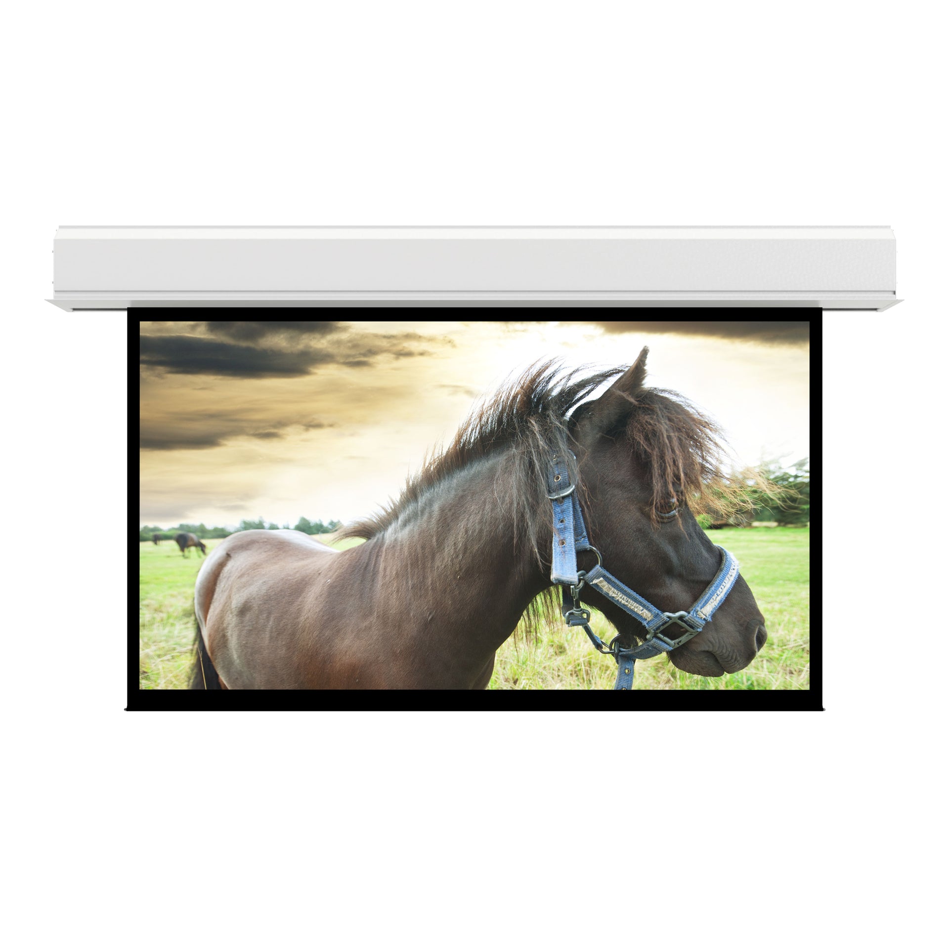 DaLite Advantage Series 213 x 284 with Matte White  36993FL Legrand for Less