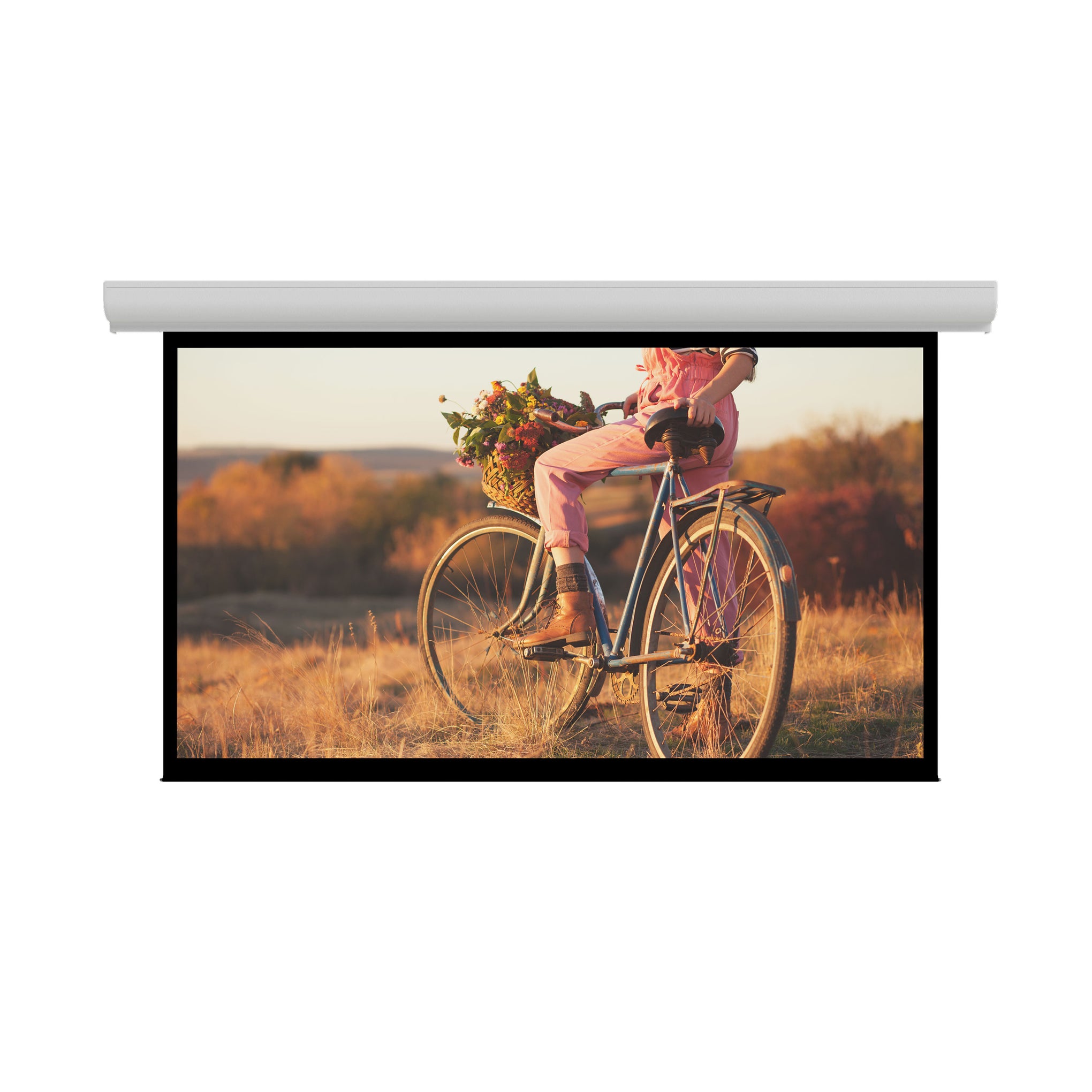 DaLite Contour Electrol 43 x 57 with Matte White  88356ELS Legrand for Less