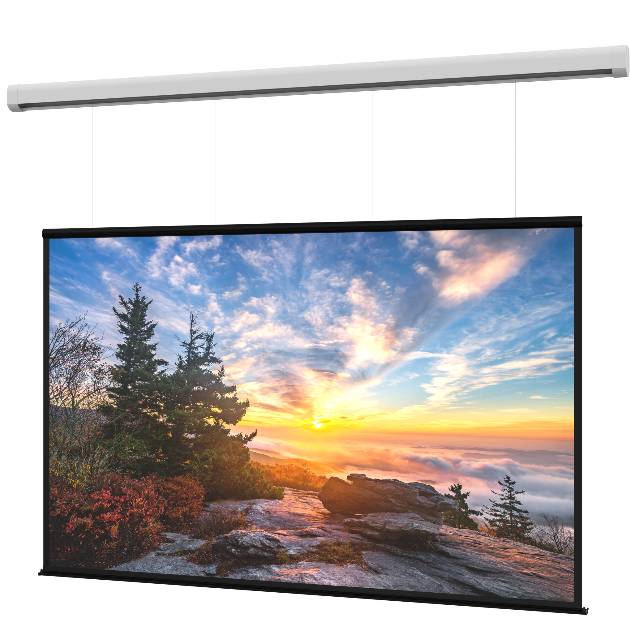 DaLite Myriad Reveal 945 x 168 with High Contrast Matte White  DL100204EL Legrand for Less