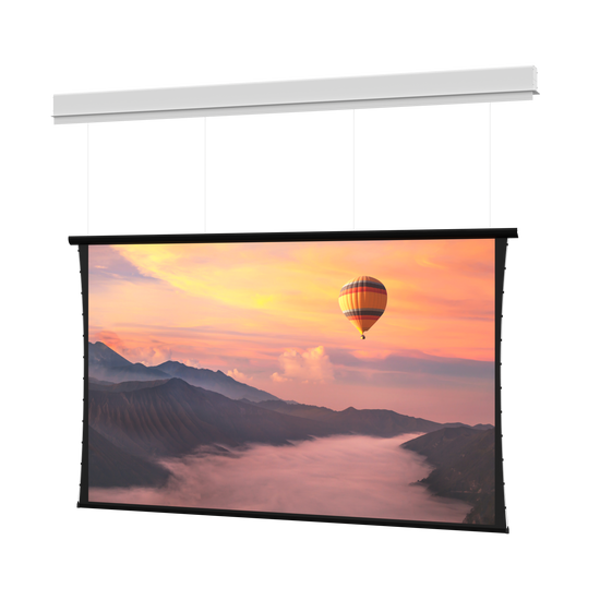 Ceiling Tensioned Screens