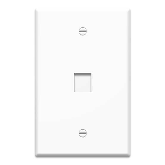 1-Gang 1-Port Oversized Wall Plate in White