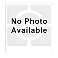 SMA601 - Chief - 15 Inch NPT Mounting Plate for SL236