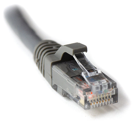 3ft Cat6a Patch Cable in Gray