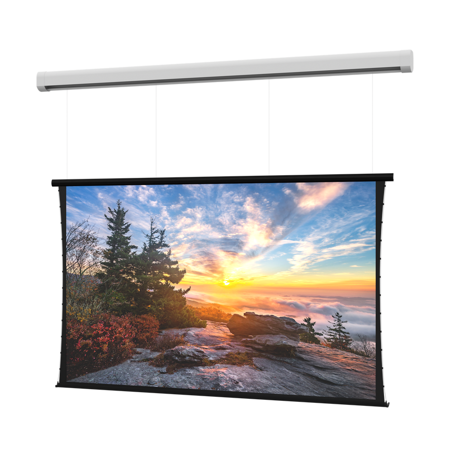 Da-Lite Myriad Reveal, 105" x 168" with HD Progressive 1.0 - DL100174EL